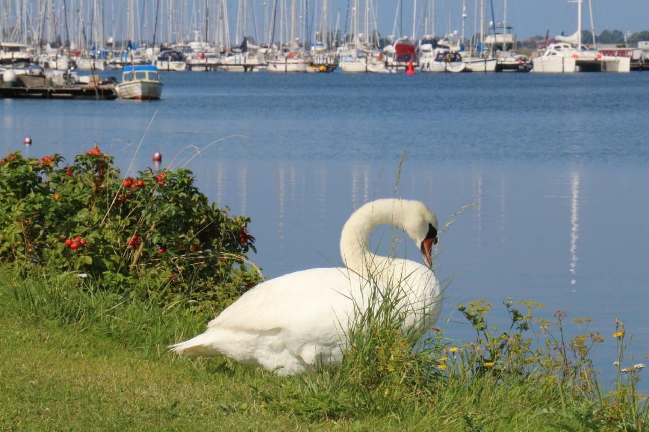 2Zi-Ferienwohnung Am Suedstrand Mit Eigenem Parkplatz Perfekt Fuer Familie Burgtiefe auf Fehmarn Ngoại thất bức ảnh